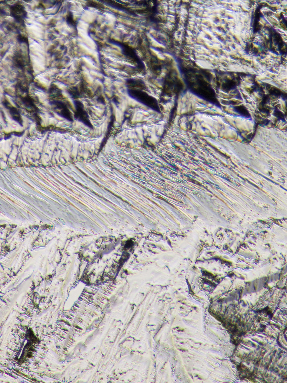 Desain tanpa judul (12)